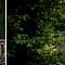 Hochzeit2009_076.jpg